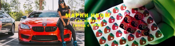 гидропоника Гусев