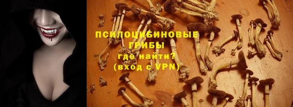 COCAINE Гусь-Хрустальный