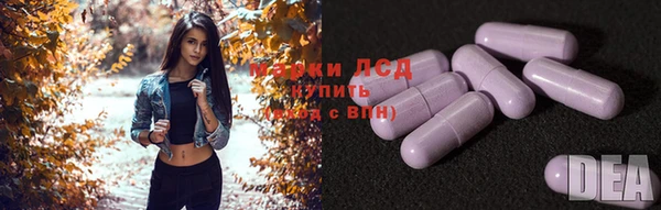 гидропоника Гусев