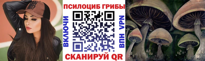 Галлюциногенные грибы Cubensis  Купить где  Певек 